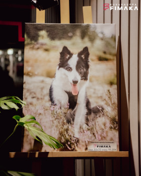 Valokuvat digikuvista