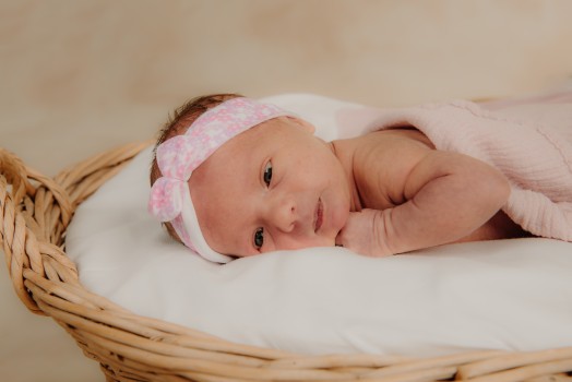 Kaikki kuvauspalvelut